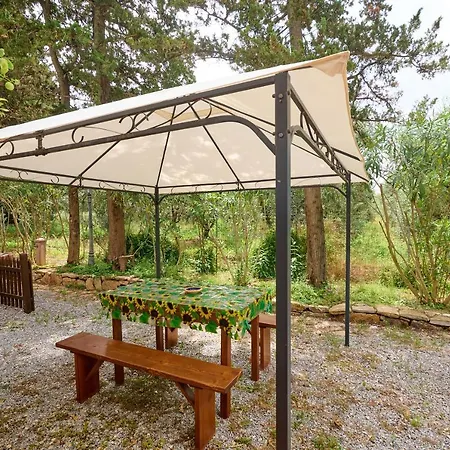 Farm stay Antichi Palmenti - Corbezzolo San Vincenzo