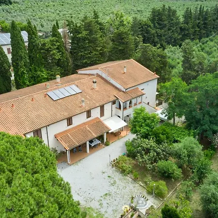 Antichi Palmenti - Corbezzolo