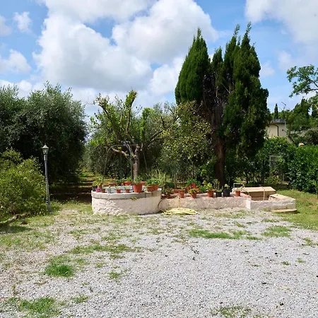 Antichi Palmenti - Corbezzolo * San Vincenzo