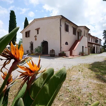 Agroturismo Antichi Palmenti - Corbezzolo