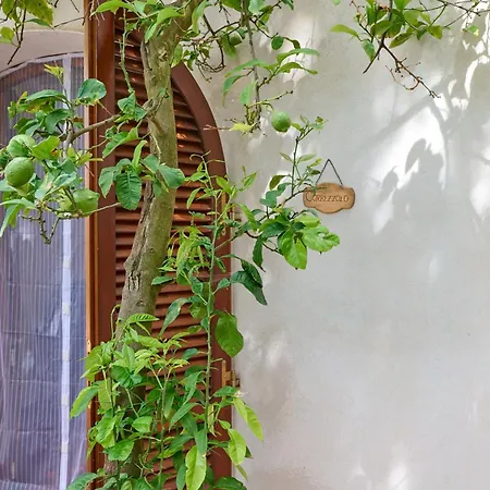Agroturismo Antichi Palmenti - Corbezzolo *