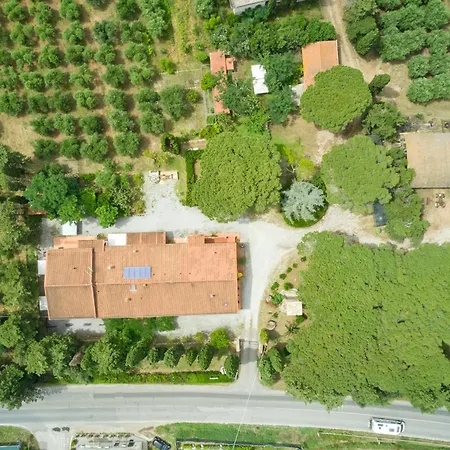 Agroturismo Antichi Palmenti - Corbezzolo